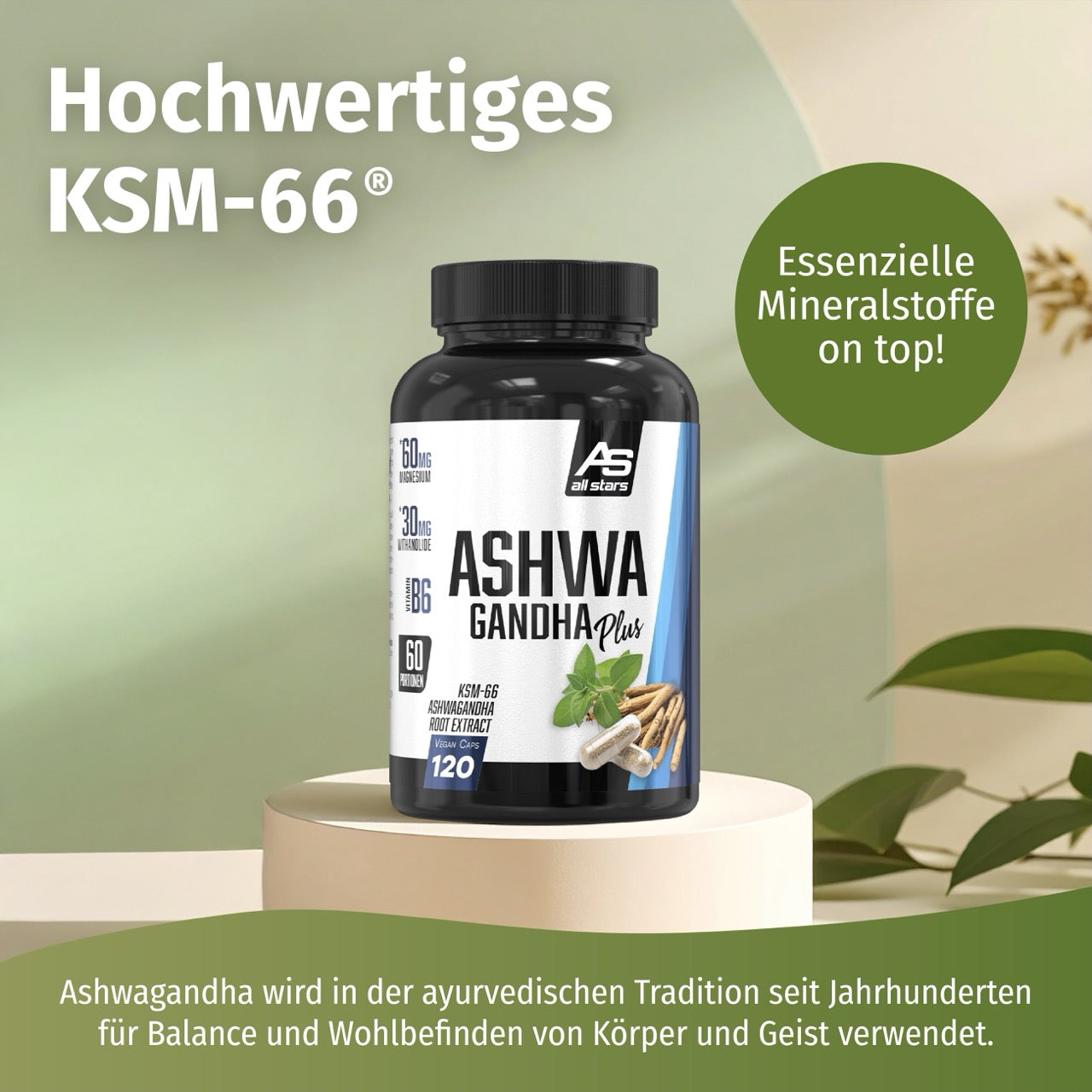 all-stars-ashwagandha-kapseln-plus-120-kapseln image 5