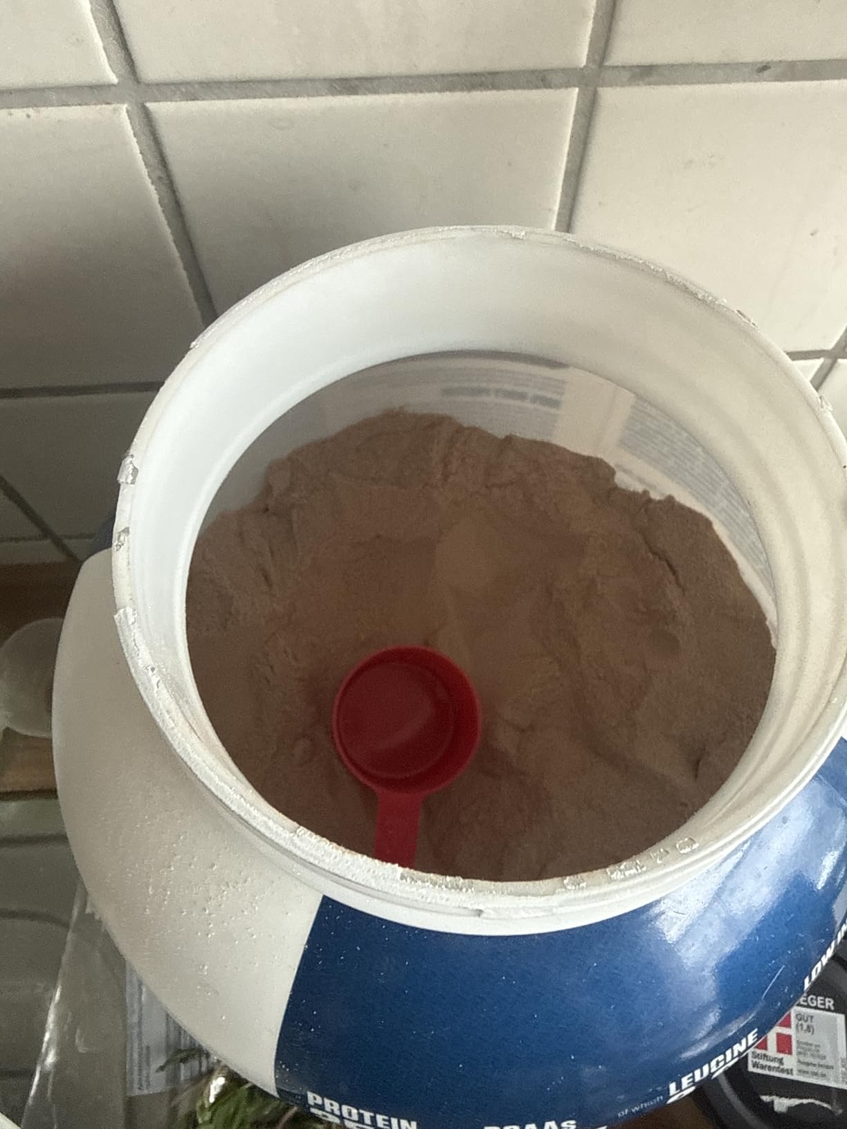 Rich Chocolate unser Bangewart